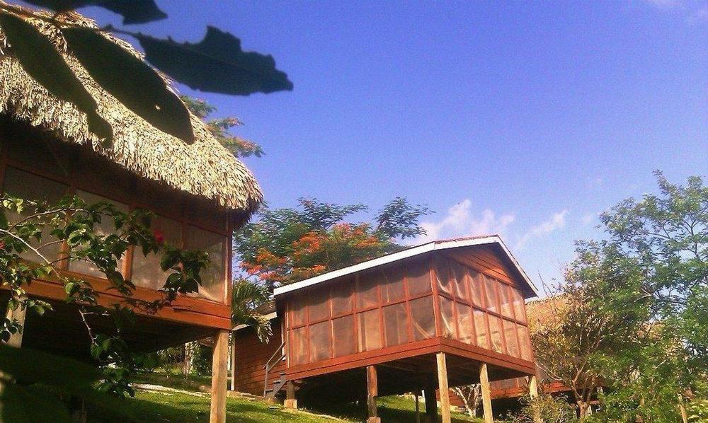 Cahal Pech Village Resort San Ignacio Voorzieningen foto